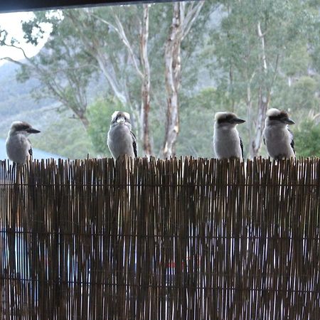 Kookaburra Motor Lodge Halls Gap Dış mekan fotoğraf