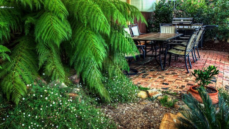 Kookaburra Motor Lodge Halls Gap Dış mekan fotoğraf