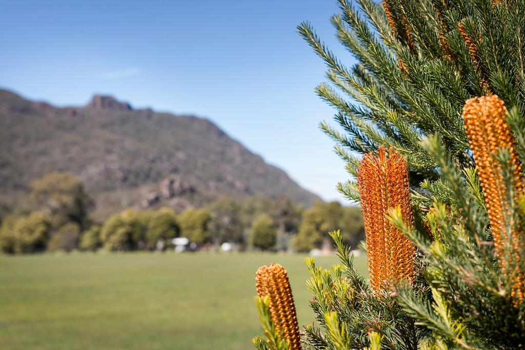 Kookaburra Motor Lodge Halls Gap Dış mekan fotoğraf